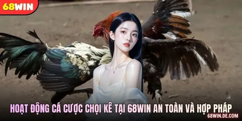 Dữ Liệu Trận Và Phạm Vi Sử Dụng