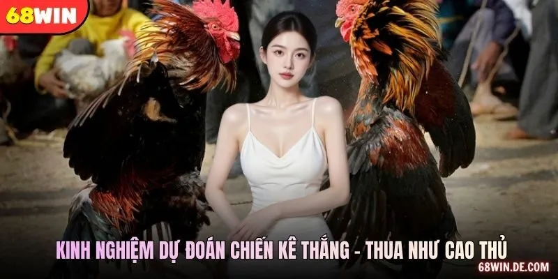 Dữ Liệu Trước Trận Và Giới Hạn