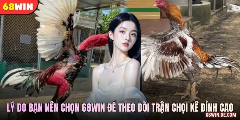 Luồng Video Và Dữ Liệu Được Công Bố